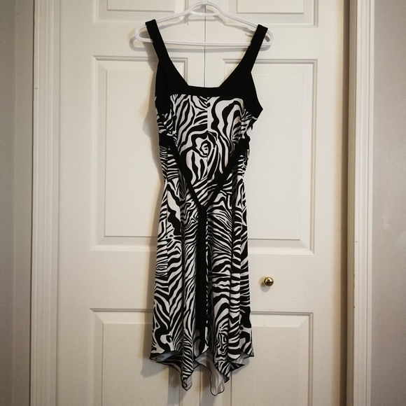 Jessica Zebra Print Dress - Picture 3 of 5